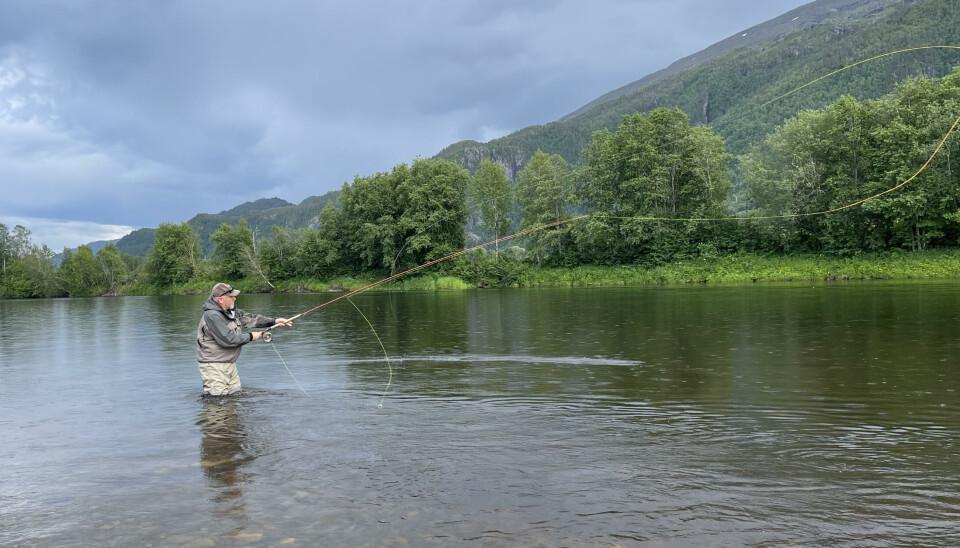 Det brenner et blått lys for villaksen En elv, stille med grønne trær i bakgrunnen, en ås. i elva står en fisker og kaster med fluestang. Snøret bugner seg i lufta