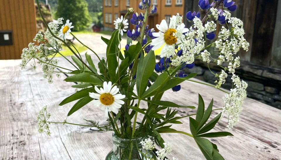 Temakveld på Åsen bygdemuseum 20. juni En blomsterbukett i et glass