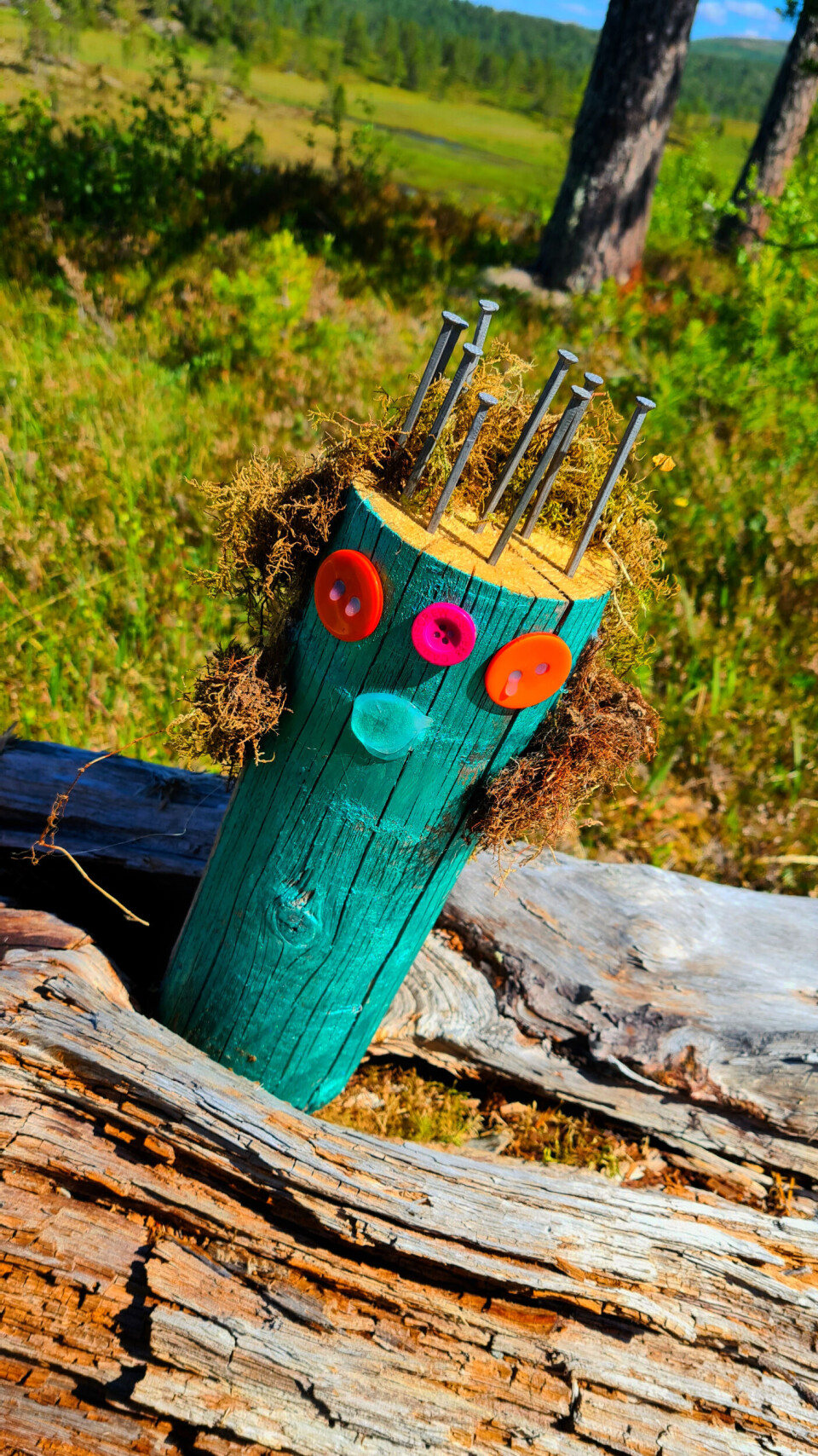 En liten trestubbe malt til å ligne et troll. Den har også mose som hår.