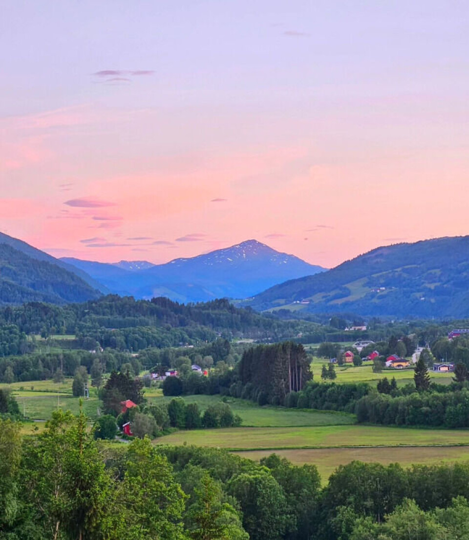 Junikveld i Rindal. Rosa himmel over en grønn bygd