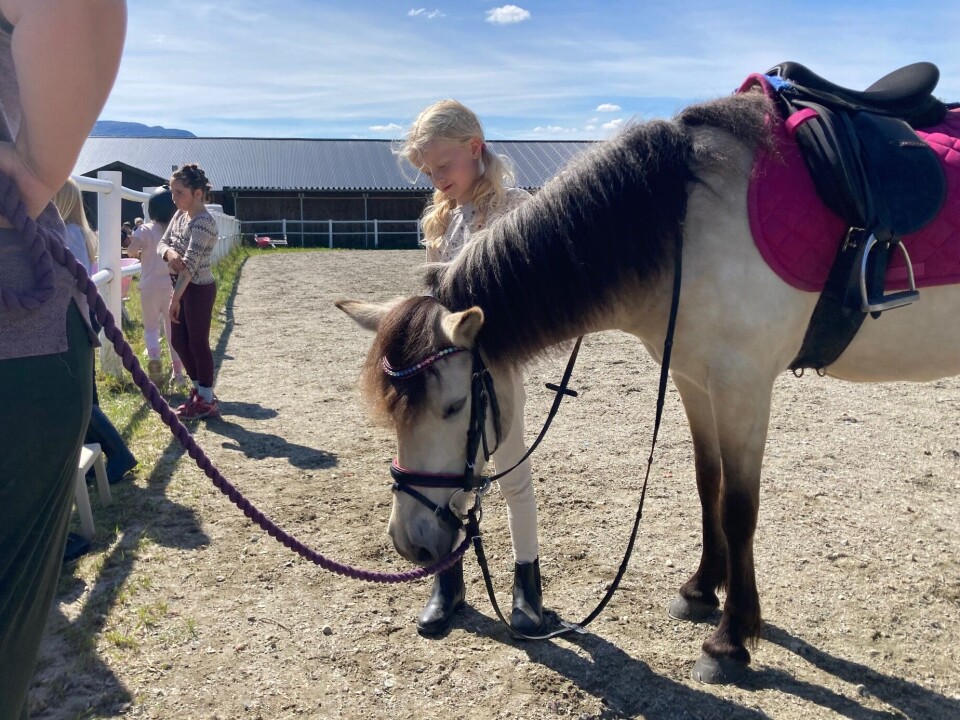 Sanna Bævre Heggset klapper ponnien Daisy etter en fin runde i varmen Hest som står og slapper av, mens ei jente klapper den på halsen