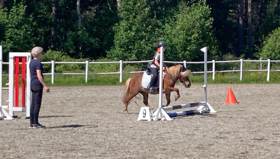 Sofie Mauset på shetlandsponnien Gulliver Jente som hopper med en rød ponni