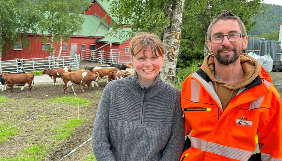 Inger Kristin og Jon Ole så seg nødt til å legge ned gårdsdrifta, og satser heller fullt og helt på Røen Maskin AS. Ei dame og en mann som står foran et fjøs og ei innhegning med kyr.