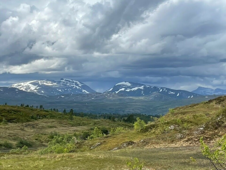 Mot Trollheimen
