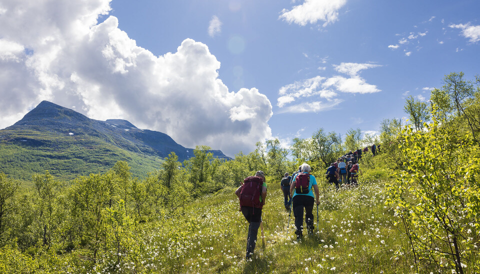 Opp Blomlia Mennesker i turklær på vei opp lia