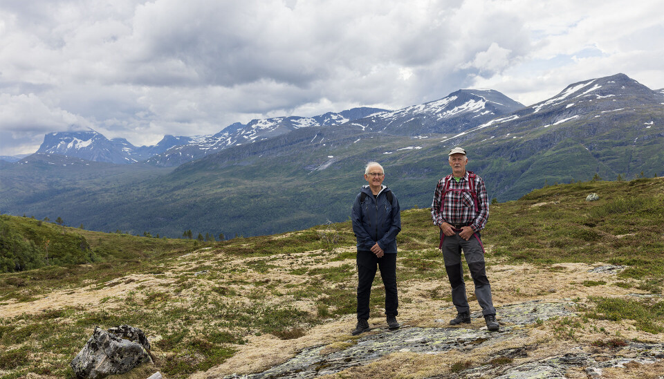 Flott utsyn frå Ørnnebba til fjella sør for Todalen
