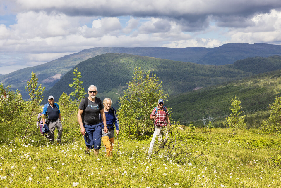 Her var Svinviksetra som vart teke av snøskred