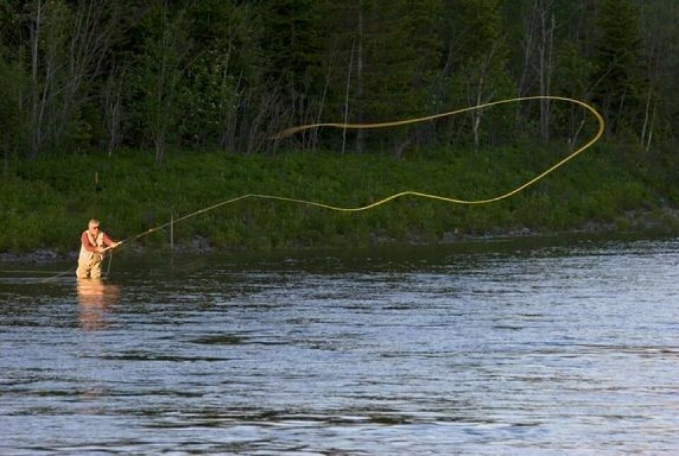 16 av de 33 elvene Miljødirektoratet stengte for laksefiske fra Trøndelag og sørover 23. juni, åpner fra midnatt natt til torsdag 11. juli for et svært begrenset fiske under strenge betingelser. Her en laksefisker som kaster med flue i Verdalselva (arkivfoto). En fisker som kaster med fluestang.