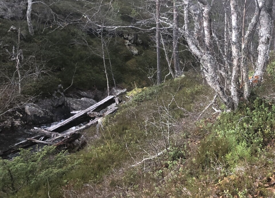 Rester av sagbruket