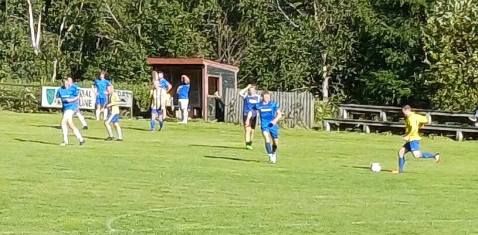 Lokaloppgjør Halsa - Bøfjord