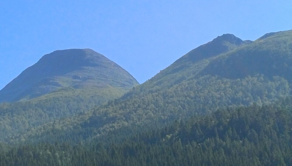 Settemsdal invitterer til Bøfjordhelg i vakkert sommervær