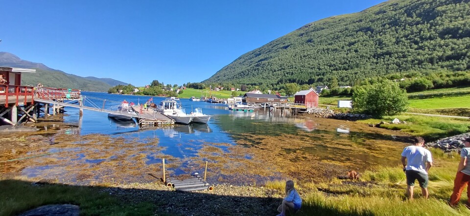Ilabukta fra Bøsaga. Ein bukt ved fjorden, med en fiskebåt.