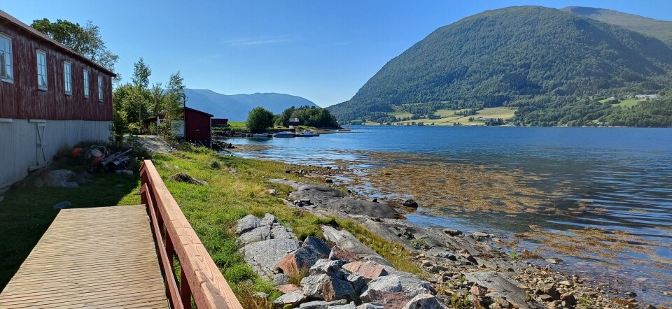 Fra Bøsaga mot Heggem, Ytternesset og Kallset. Utsikt utover fjorden.