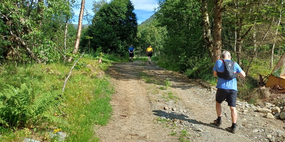 Turgåere opp Dragsetdalen. Turgåere på en skogssti.