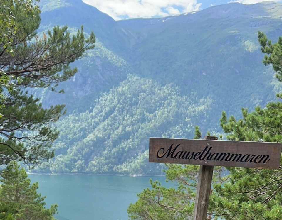 Svinvikrunden. skilt foran utsikt