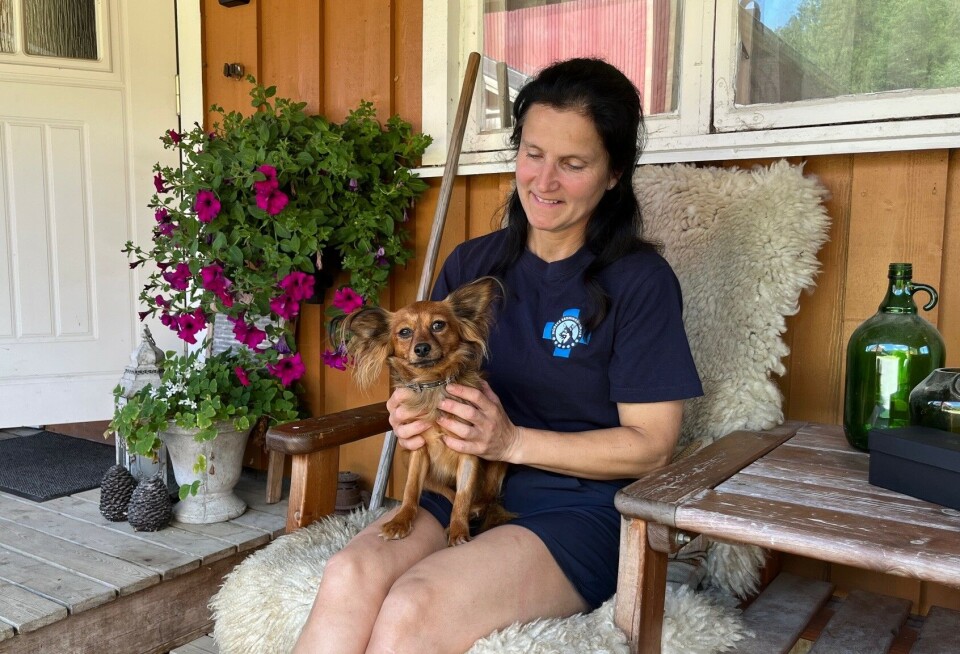 Heidi har en hund til, en 5 år gammel Russisk toy. Han og Cox går riktig nok ikke så godt sammen, selv om begge er familiehunder, så de holdes for det meste adskilt, forteller Heidi. Ei dame med en liten hund på fanget.