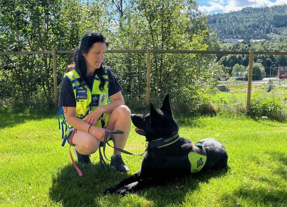 Heidi og Cox i arbeidsantrekk. Ei dame og en svart schäferhund, med Norske redningshunders gule vest.