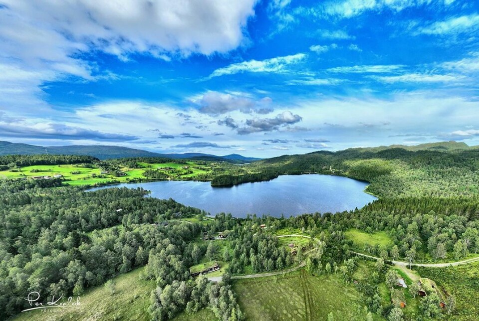 #rørvatnet #rindal_tidtilåleve #rindalsskogen Dronebilde over et vatn i skogen.