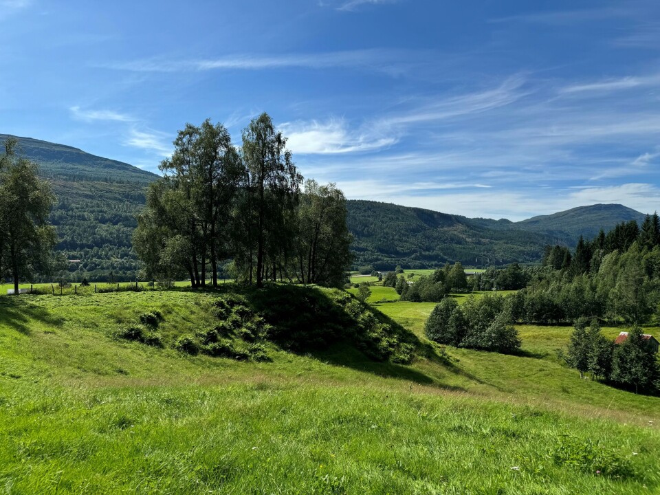 Nordmørstour på Sagdammen diskgolfpark En diskgolfbane.