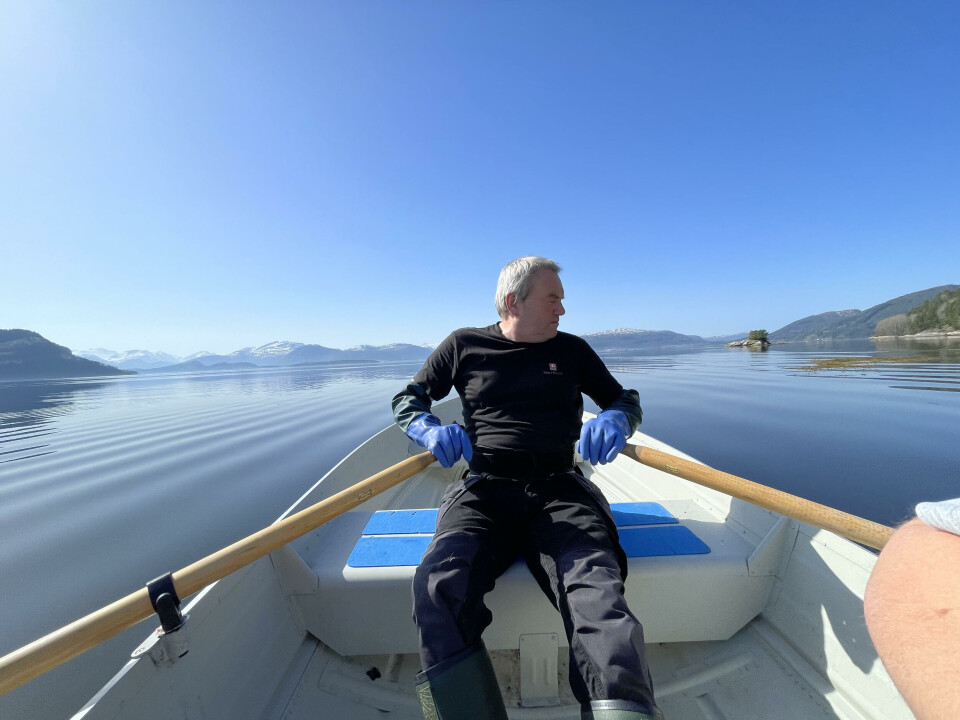 En mann ror på blikk stille fjord