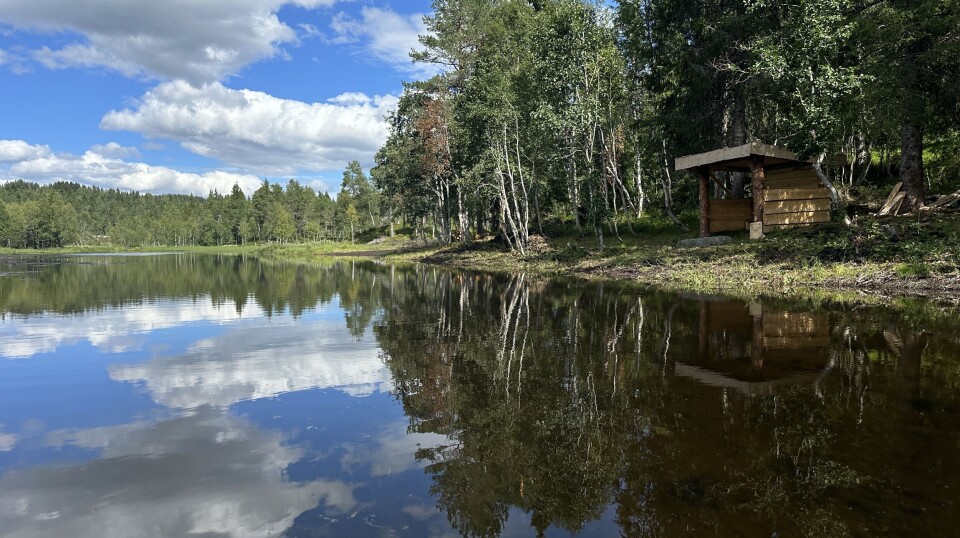 En gapahuk ved et vann.