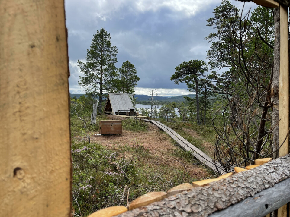Både aktivitet og overnattingsmuligheter. En treramme rammer rundt en tresti, skattekiste og en trekantet hytte i bakgrunnen. Ute i naturen
