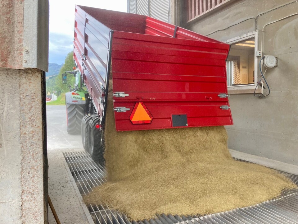 Slike hengere kan det bli mange å se langs veiene i ukene fremover, særlig om været blir litt bedre enn meldt.. Masse korn som tømmes av en stor traktorhenger.