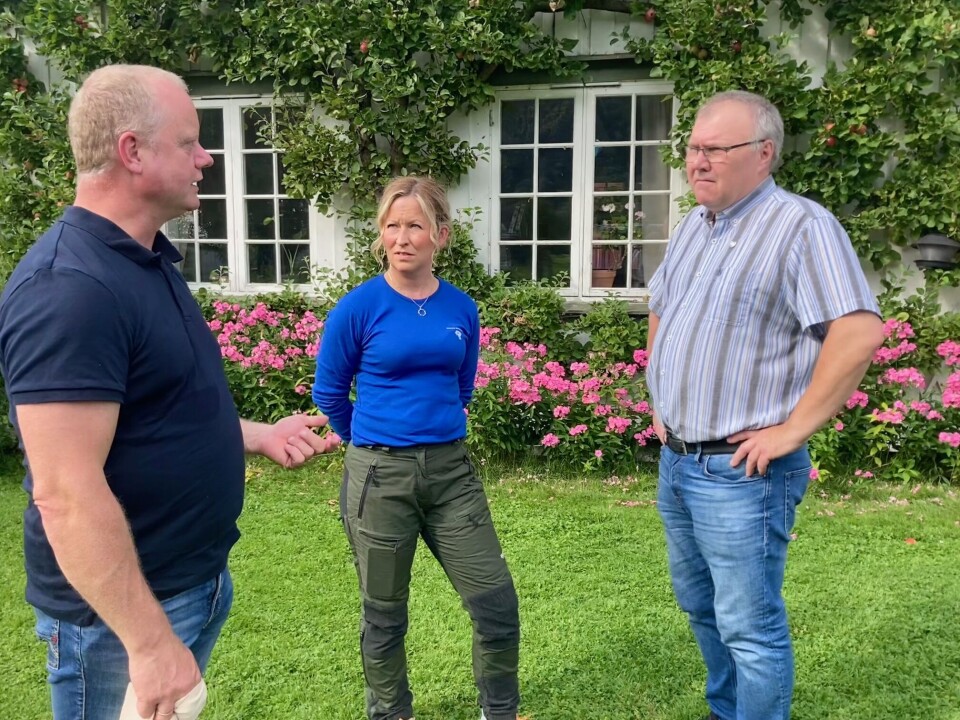 Olav Håkon Ulfsnes, Ane Støen Mittet og Hugo Pedersen i samtale. Tre personer som snakker sammen,