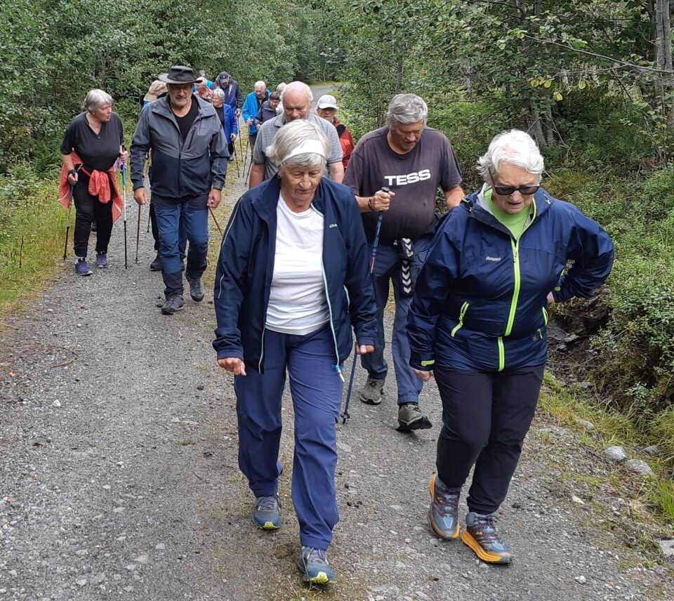 Stavgang til Holtasetra
