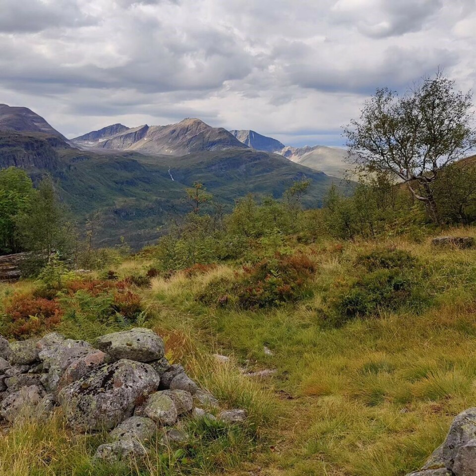 Hadde en helt strålende dag i fjellet i går