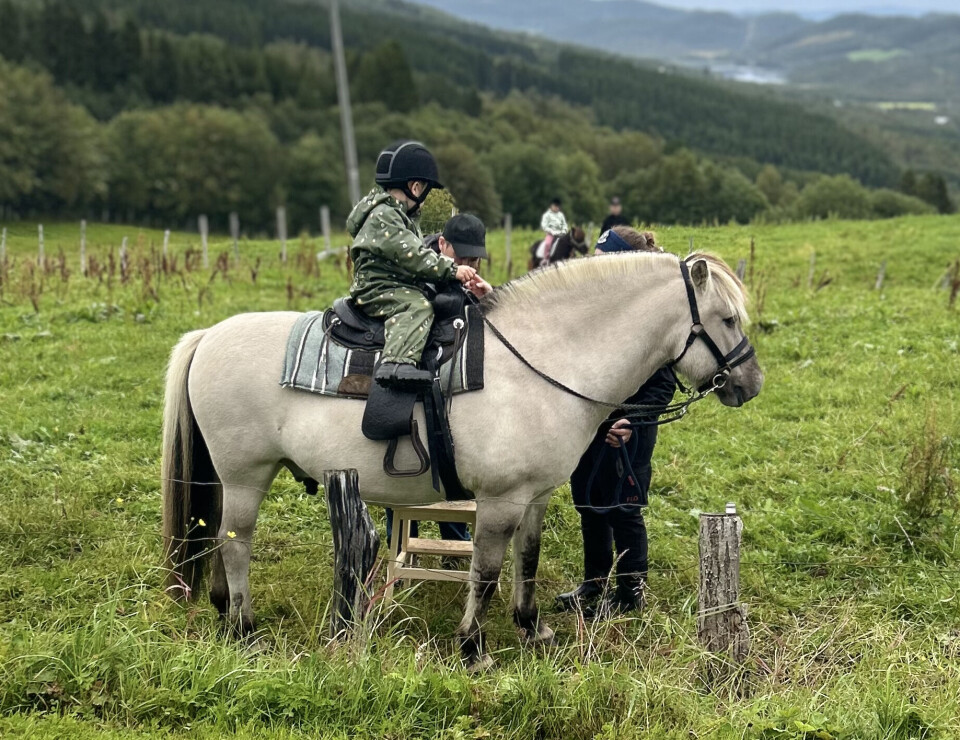 Barneridningen var meget populær. Ei jente på en fjording-hest