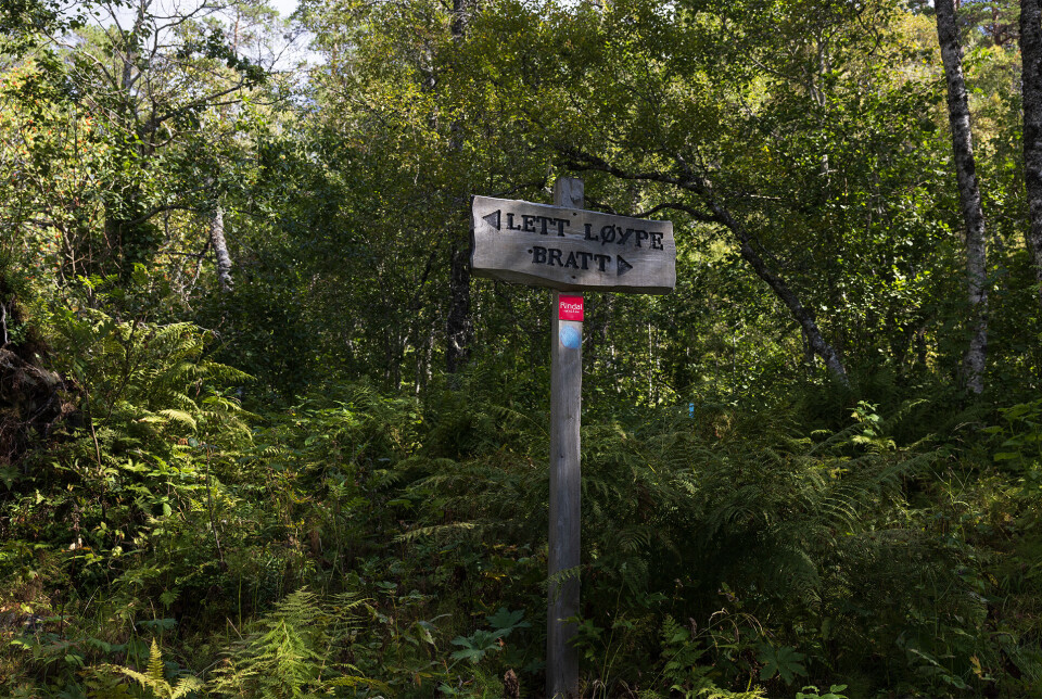 Tok bratt løype opp og lett løype ned. Et slikt som viser to mulige veier: 'Lett løype' og 'bratt'.