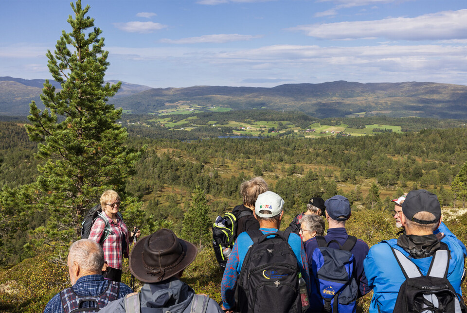 Utsyn til blant anna Rørdalen og Lomunddalen. Flere turgåere oppå en topp med god utsikt over skog og fjell.