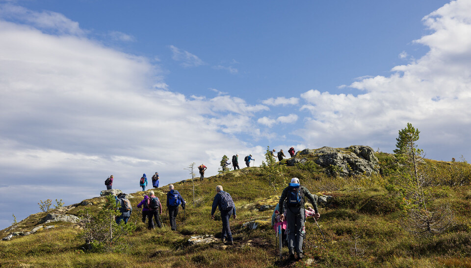 Tur til Vassdalen Flere turgåere på rekke og rad på en sti på fjellet.