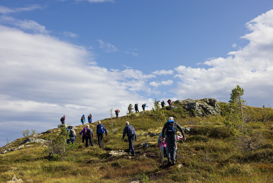 Straks på Garbergsfjellets topp, 604 moh. Flere turgåere på rekke og rad på en sti på fjellet.