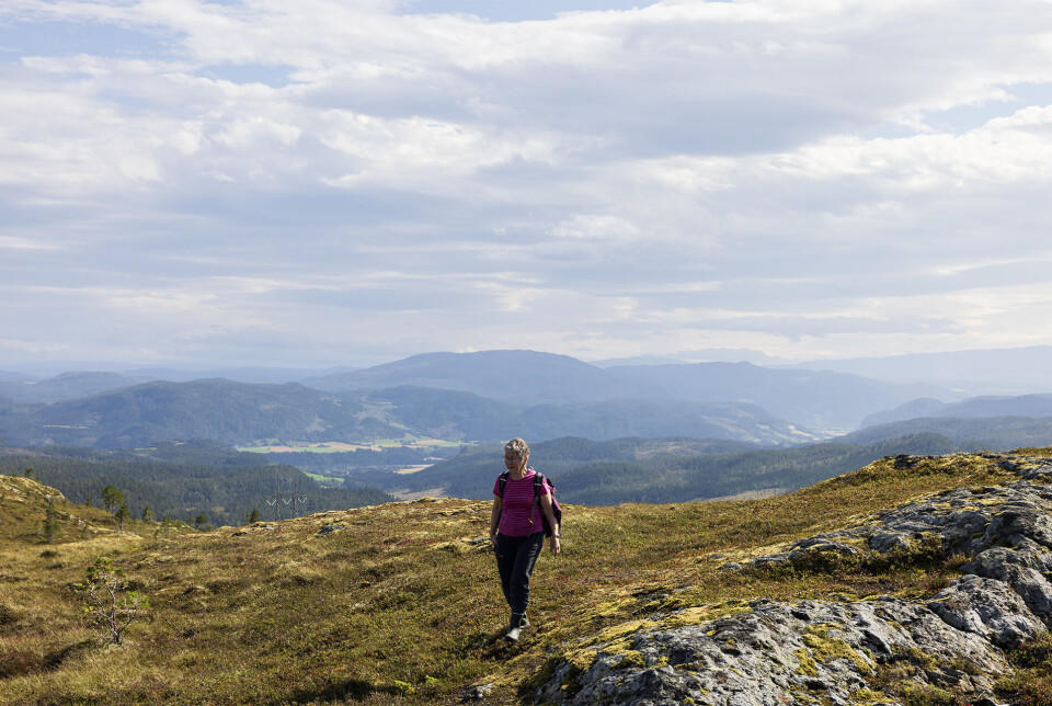 Flott utsyn rundt om fra toppen. Ei turkledd dame med ryggsekk, på fjellet.