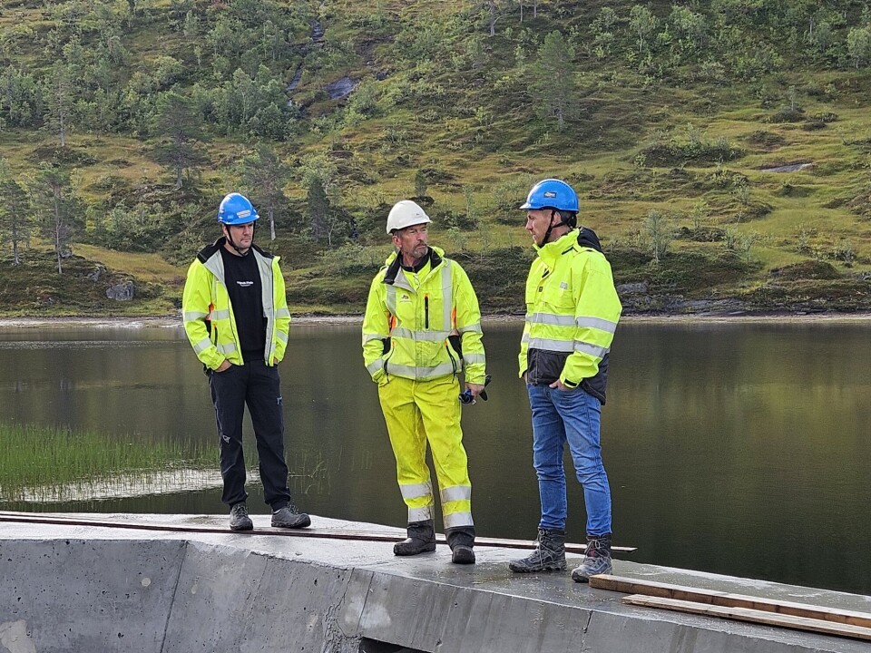 Fra venstre Tølløv Løfald Bjørnstad, Brage Lillery og Arne Nordbotn
