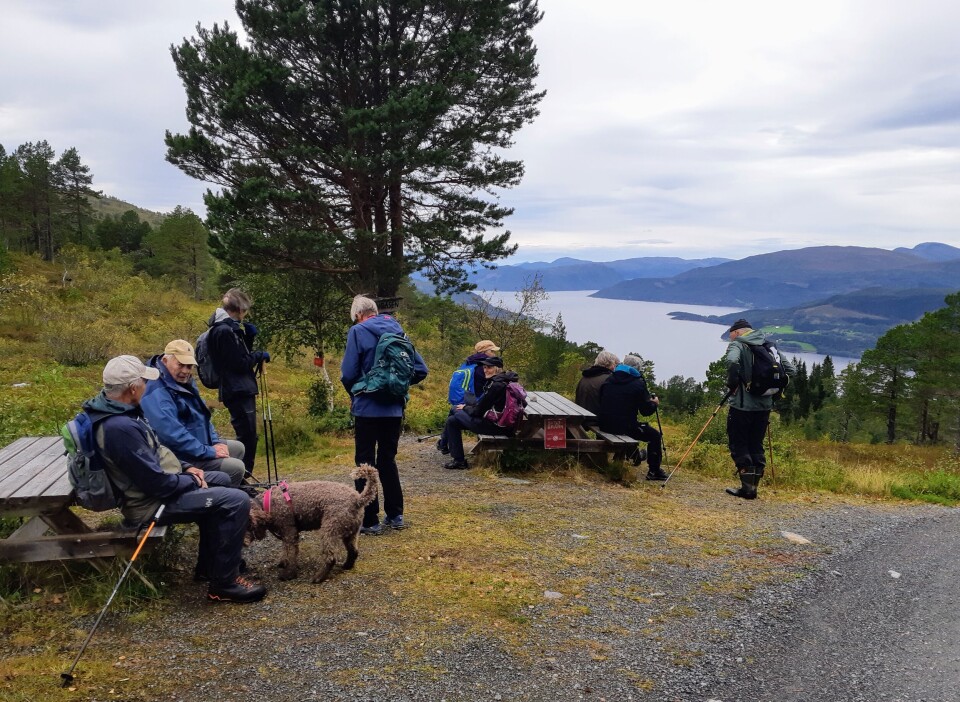 Stavgang til Sjøasetervatnet Ei gruppe turgåere på en rasteplass  ved en grusvei, med utsikt mot fjorden.