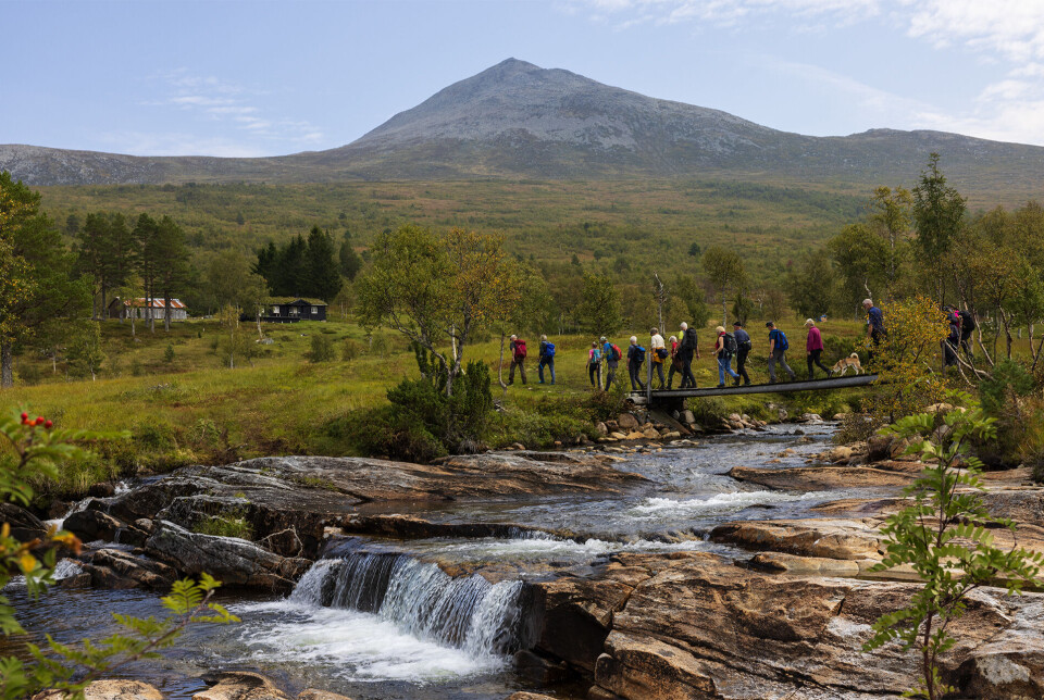 Over Seterelva til Valsetsetrin. Turkledde folk på rekke og rad over ei gangbru over en bekk på fjellet.