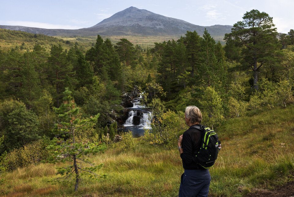 Kristian ser mot Grånebba, Vassnebba. En mann som står og nyter utsikten på fjellet.