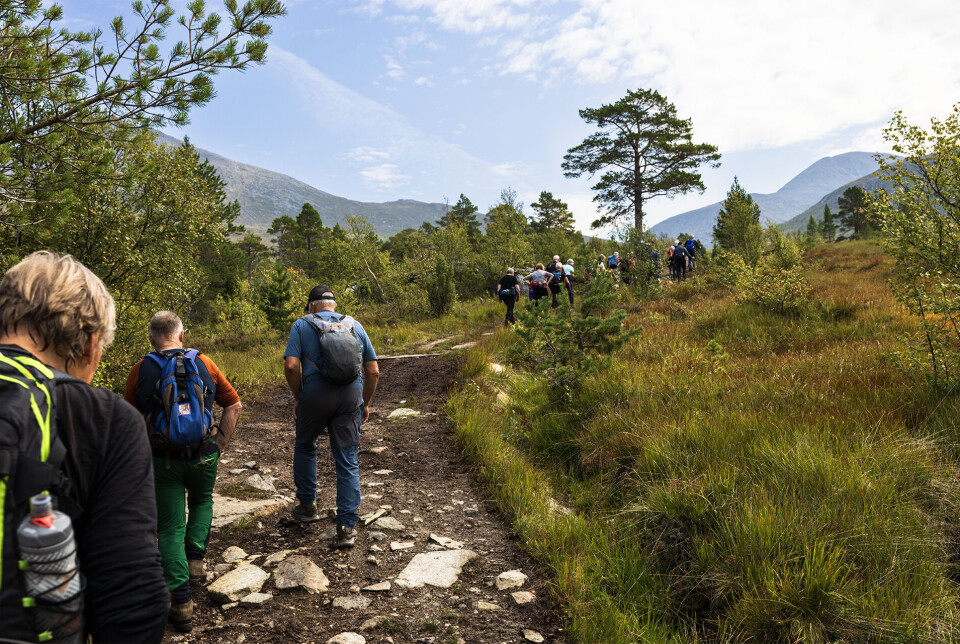 Til seters. Turkledde folk som går på en tursti på fjellet.