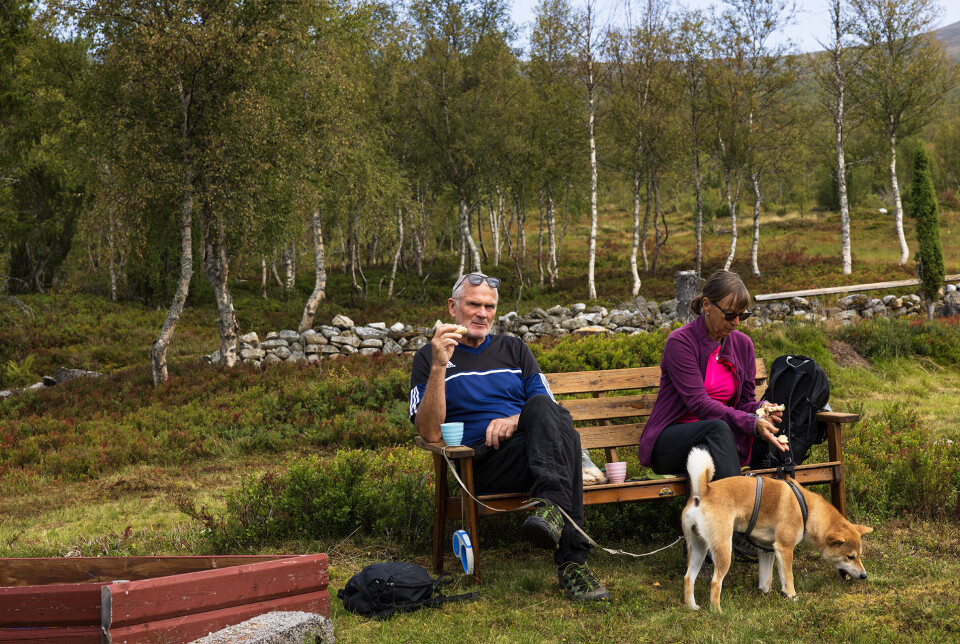 Tre som koser seg på setertur. En mann med hund og ei dame sitter på en benk og spiser niste. Bjørkeskog og et steingjerde i bakgrunnen.