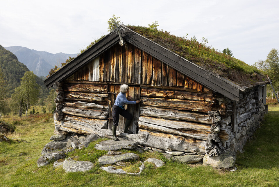 Fjellgruppetur til Valsetsetra Ei dame som åpner døra på et gammelt seterhus på fjellet.