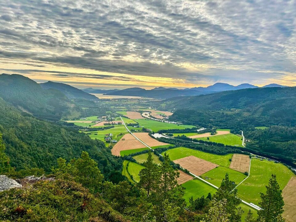 Bygda skifter sakte men sikkert årstid, ein sommer er på hell..og landskap går sakte over til høst🍃🍂🍁 #bygdami #vårsøglandet #surnadal Et jordbrukslandskap sett fra et utsiktspunkt høyt oppe i terrenget.