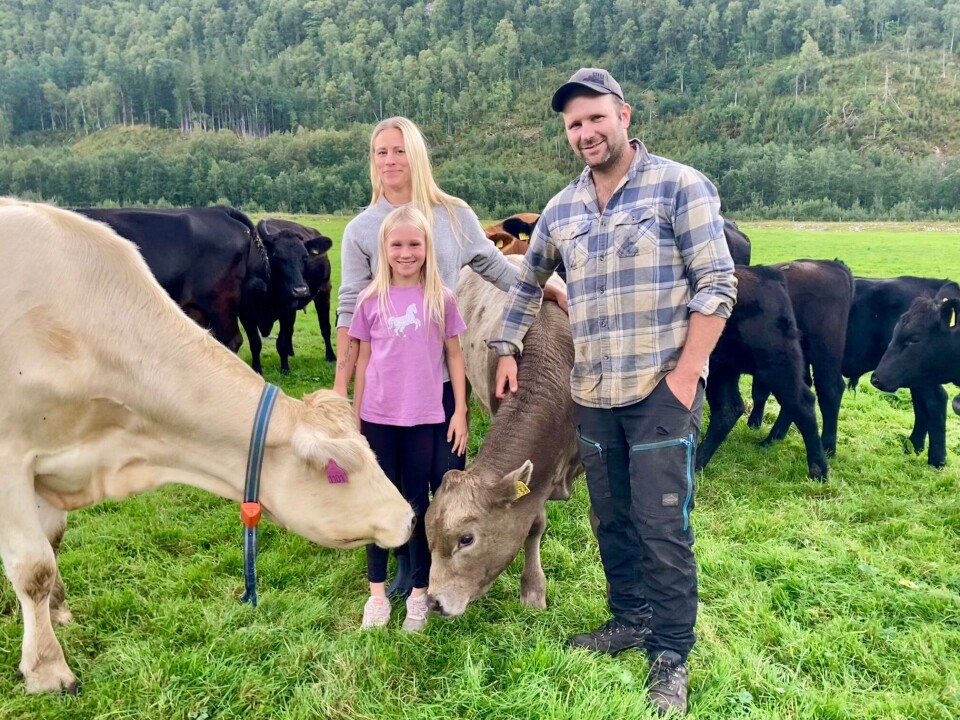 Elisabeth Engset, Lars Ole Gravvold og datteren Guro driver med ammeku i Bøverdalen. De er opptatte av dyrevelferd og å utnytte gårdens ressurser. Familie som står midt i en kuflokk.