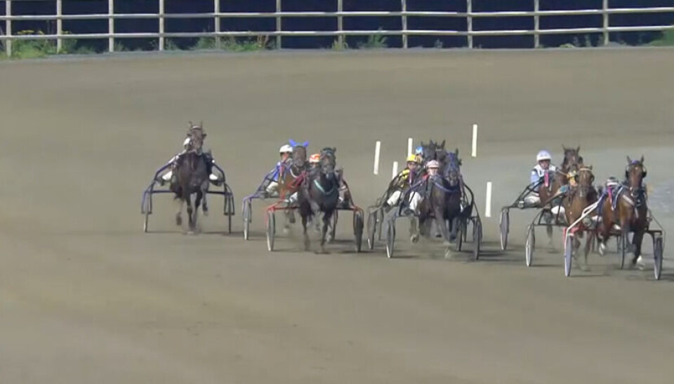 3-årshoppa Gee Whiz (midt i bildet) traver inn til 3.plass i 10.løp søndag Travhester på oppløpet