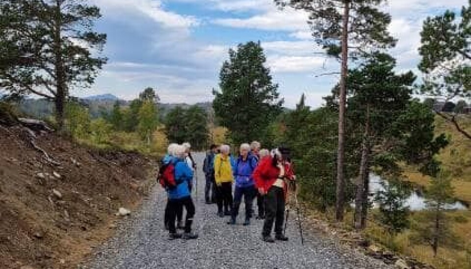 Turgåere på grusvei