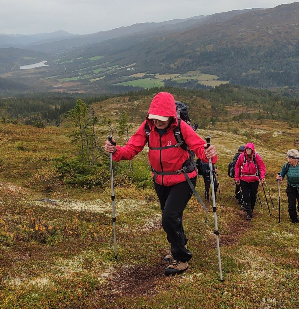 Tirsdagstur til Gimshøgda Turkledde folk som går oppover en fjellsti.