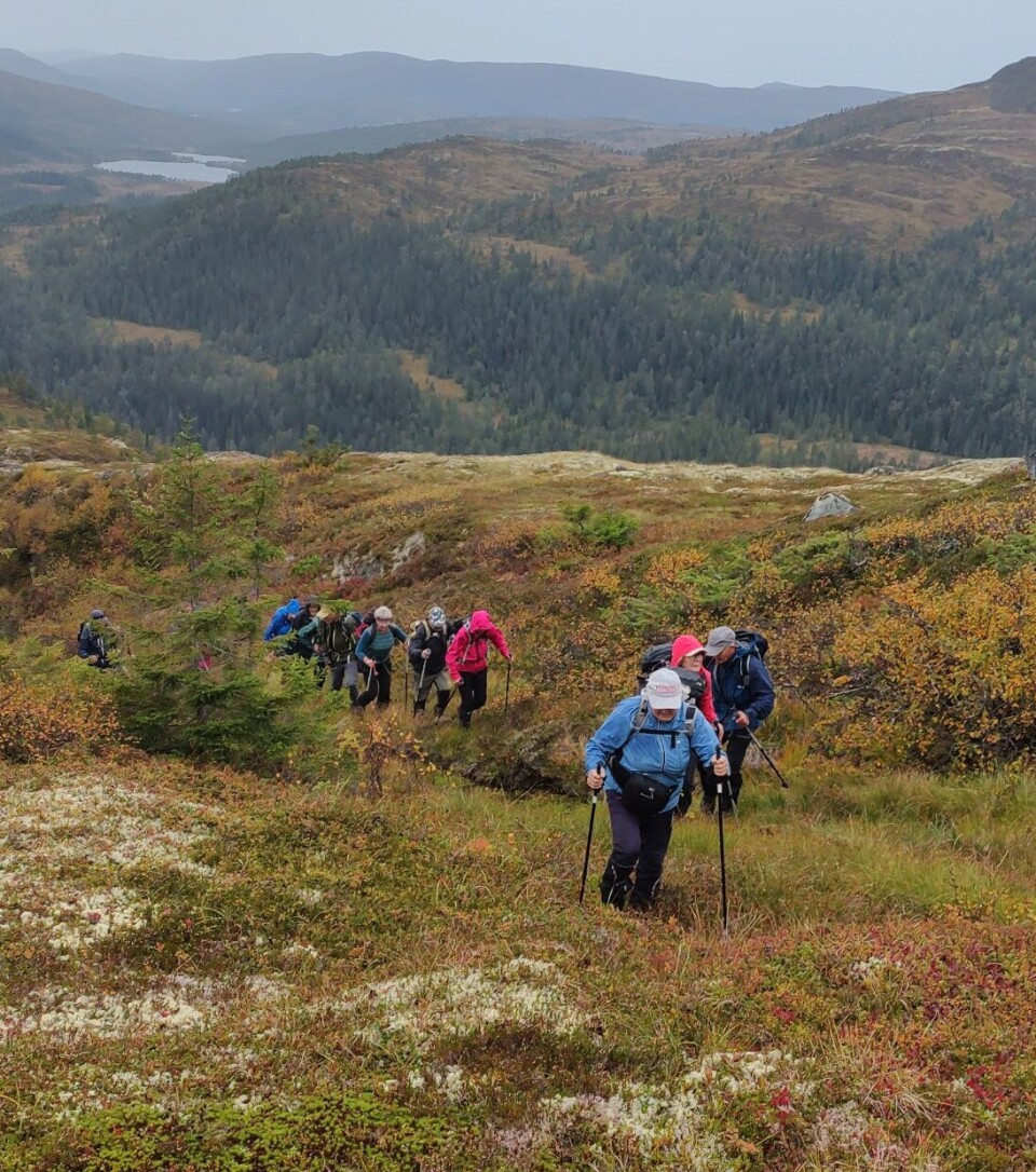 Tirsdagstur til Gimshøgda Turkledde folk som går i fjellet.