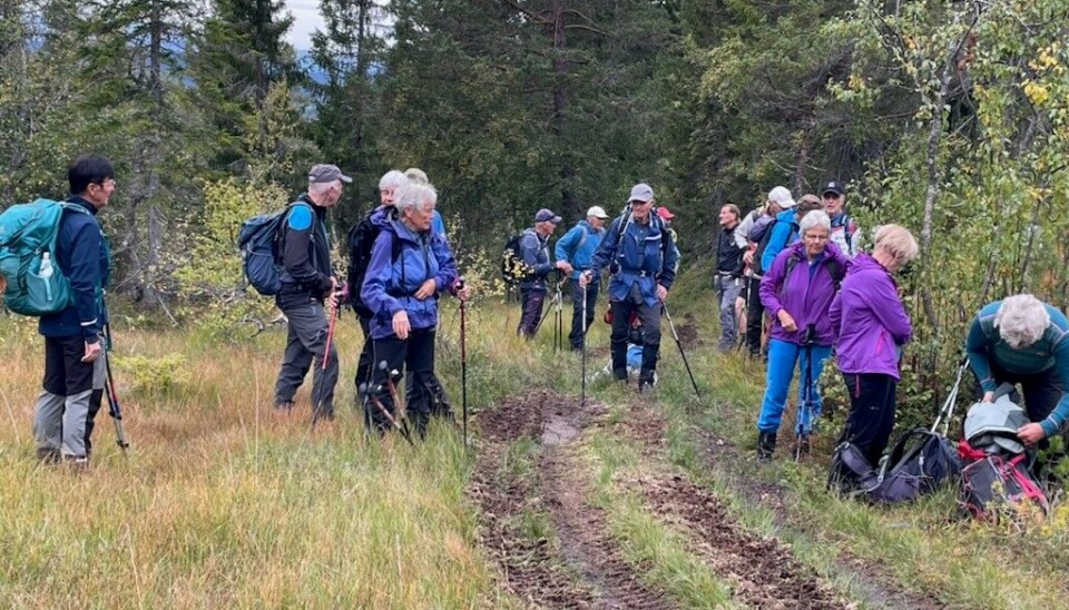Tirsdagstur til Gimshøgda Turkledde folk som tar en pust i bakken på en skogsvei.